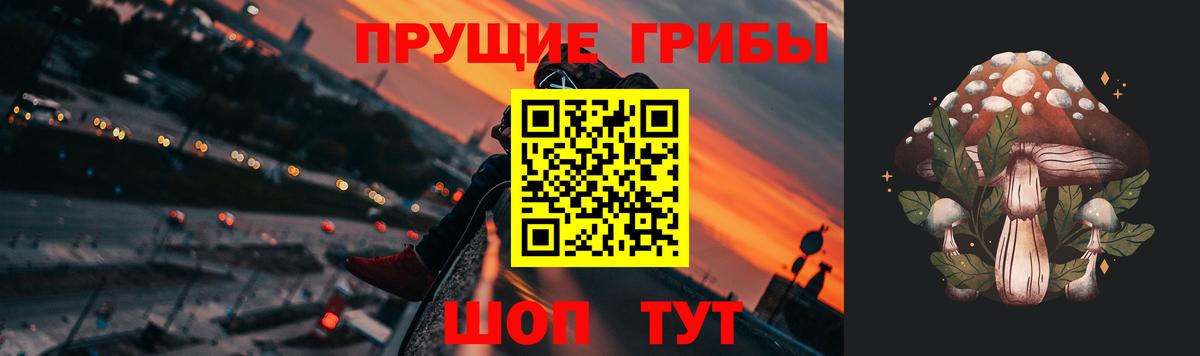 Галлюциногенные грибы мухоморы Касимов